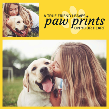 Picture of Paw prints - 8x8