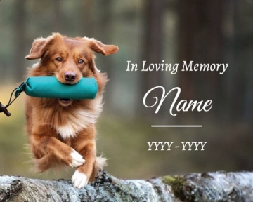 Picture of In Loving Memory - 11x14