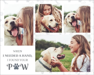 Picture of Paw - 24x36