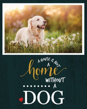 Picture of House is not a home - 14x11