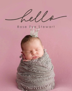 Picture of Hello-1 photo - 20x16