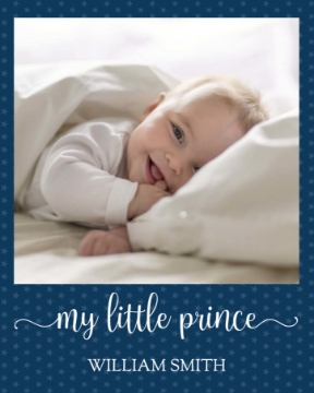 Picture of Little Prince - 20x16