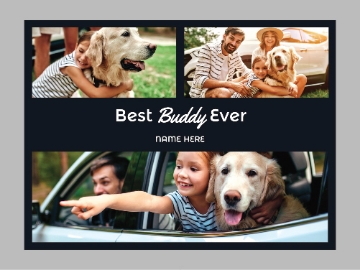 Picture of Pets-02 50x60 Sherpa