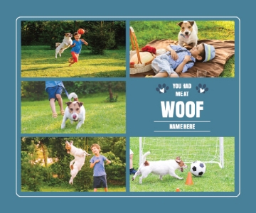 Picture of Pets-04 50x60 Sherpa