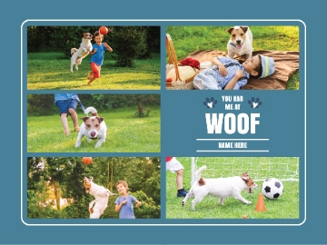 Picture of Pets-04 60x80 Plush (No Bleed)