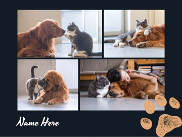 Picture of Pets-07 60x80 Plush (No Bleed)