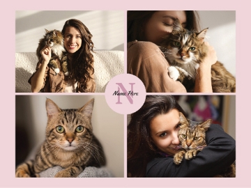 Picture of Pets-08 50x60 Sherpa