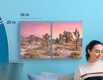 Picture of (2) 20" x 16" Split Canvas